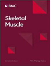 Skeletal Muscleڿ