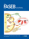 Faseb Journal封面