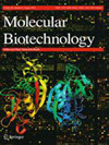 Molecular Biotechnology封面