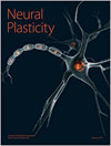 Neural Plasticity封面