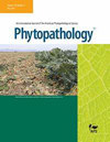 Phytopathology封面